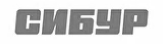 Блок с партнерами: Логотип компании Сибур